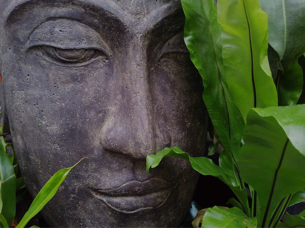 Mantras are like medicine for the Soul